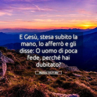 Picture 05 - Matteo 14:31 RIV - E Gesù, stesa subito la mano, lo afferrò e gli - Bible Verse Picture