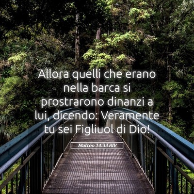 Picture 05 - Matteo 14:33 RIV - Allora quelli che erano nella barca si - Bible Verse Picture