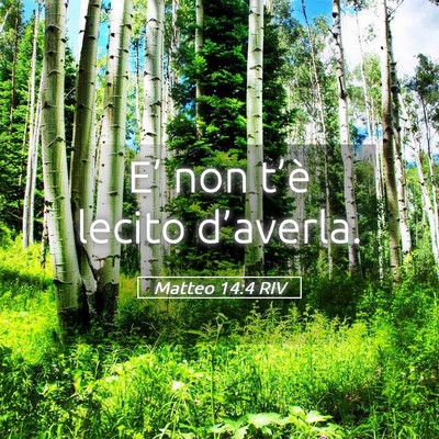 Picture 05 - Matteo 14:4 RIV - E’ non t’è lecito - Bible Verse Picture