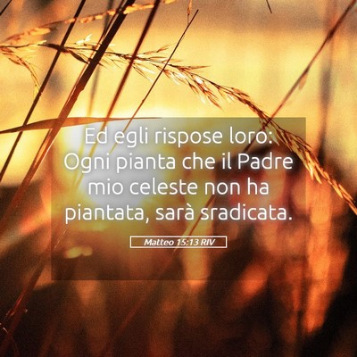 Picture 05 - Matteo 15:13 RIV - Ed egli rispose loro: Ogni pianta che il Padre - Bible Verse Picture