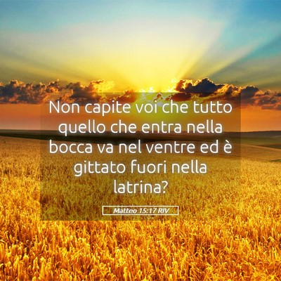 Picture 05 - Matteo 15:17 RIV - Non capite voi che tutto quello che entra nella - Bible Verse Picture