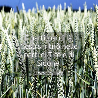 Picture 05 - Matteo 15:21 RIV - E partitosi di là, Gesù si ritirò nelle parti - Bible Verse Picture