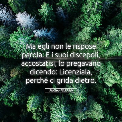 Picture 05 - Matteo 15:23 RIV - Ma egli non le rispose parola. E i suoi - Bible Verse Picture