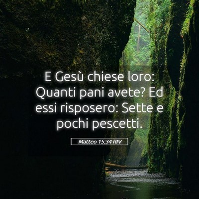 Picture 05 - Matteo 15:34 RIV - E Gesù chiese loro: Quanti pani avete? Ed essi - Bible Verse Picture