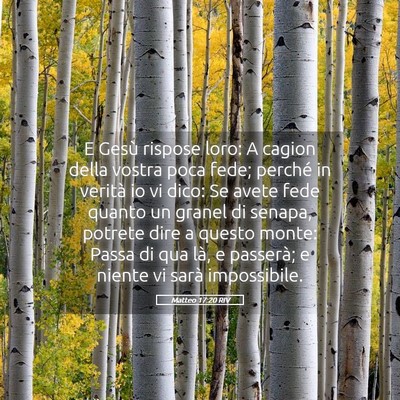 Picture 05 - Matteo 17:20 RIV - E Gesù rispose loro: A cagion della vostra poca - Bible Verse Picture