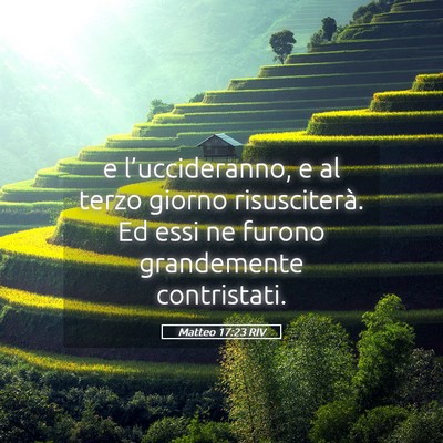 Picture 05 - Matteo 17:23 RIV - e l’uccideranno, e al terzo giorno - Bible Verse Picture