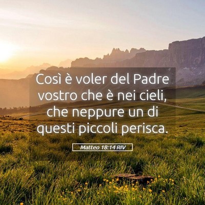 Picture 05 - Matteo 18:14 RIV - Così è voler del Padre vostro che è nei cieli, - Bible Verse Picture