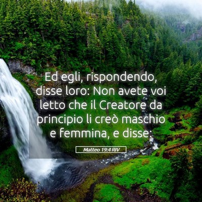 Picture 05 - Matteo 19:4 RIV - Ed egli, rispondendo, disse loro: Non avete voi - Bible Verse Picture