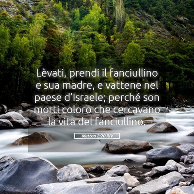 Picture 05 - Matteo 2:20 RIV - Lèvati, prendi il fanciullino e sua madre, e - Bible Verse Picture