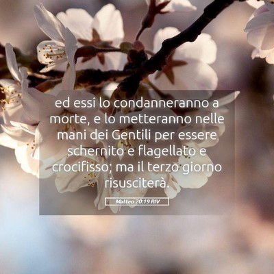 Picture 05 - Matteo 20:19 RIV - ed essi lo condanneranno a morte, e lo metteranno - Bible Verse Picture