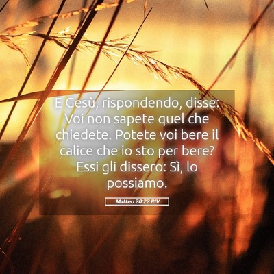 Picture 05 - Matteo 20:22 RIV - E Gesù, rispondendo, disse: Voi non sapete quel - Bible Verse Picture