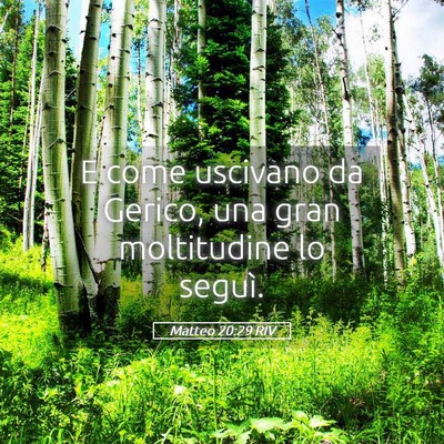 Picture 05 - Matteo 20:29 RIV - E come uscivano da Gerico, una gran moltitudine - Bible Verse Picture