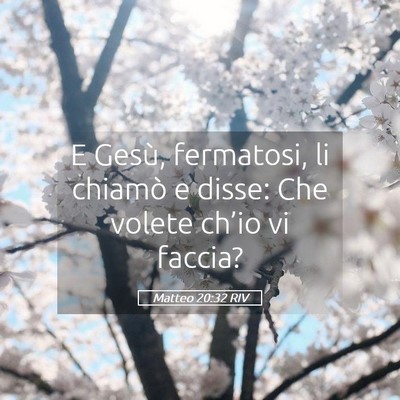 Picture 05 - Matteo 20:32 RIV - E Gesù, fermatosi, li chiamò e disse: Che - Bible Verse Picture
