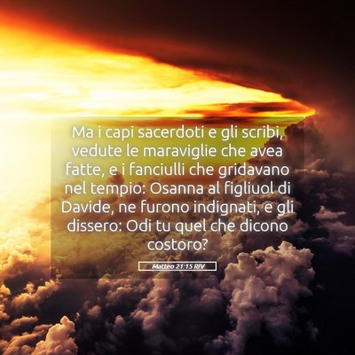 Picture 05 - Matteo 21:15 RIV - Ma i capi sacerdoti e gli scribi, vedute le - Bible Verse Picture