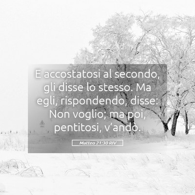 Picture 05 - Matteo 21:30 RIV - E accostatosi al secondo, gli disse lo stesso. Ma - Bible Verse Picture
