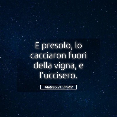 Picture 05 - Matteo 21:39 RIV - E presolo, lo cacciaron fuori della vigna, e - Bible Verse Picture