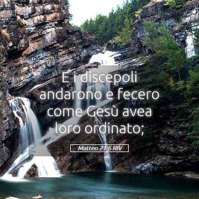 Picture 05 - Matteo 21:6 RIV - E i discepoli andarono e fecero come Gesù avea - Bible Verse Picture