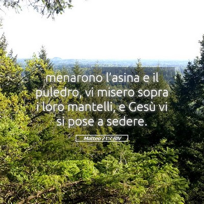 Picture 05 - Matteo 21:7 RIV - menarono l’asina e il puledro, vi misero sopra - Bible Verse Picture