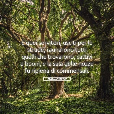Picture 05 - Matteo 22:10 RIV - E quei servitori, usciti per le strade, raunarono - Bible Verse Picture