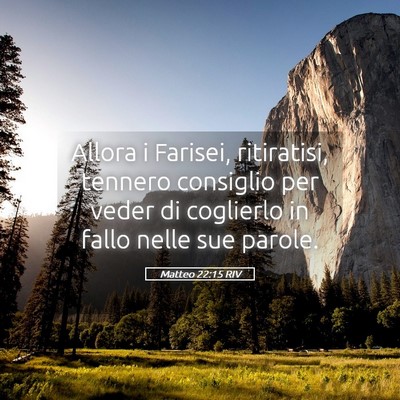 Picture 05 - Matteo 22:15 RIV - Allora i Farisei, ritiratisi, tennero consiglio - Bible Verse Picture