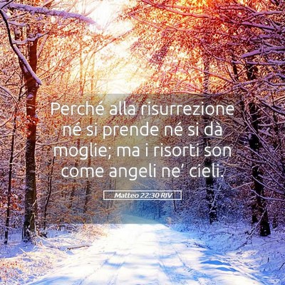Picture 05 - Matteo 22:30 RIV - Perché alla risurrezione né si prende né si - Bible Verse Picture