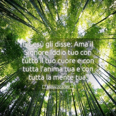Picture 05 - Matteo 22:37 RIV - E Gesù gli disse: Ama il Signore Iddio tuo con - Bible Verse Picture
