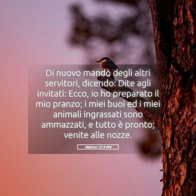Picture 05 - Matteo 22:4 RIV - Di nuovo mandò degli altri servitori, dicendo: - Bible Verse Picture