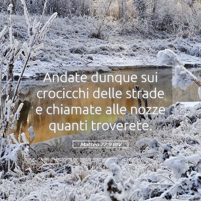 Picture 05 - Matteo 22:9 RIV - Andate dunque sui crocicchi delle strade e - Bible Verse Picture