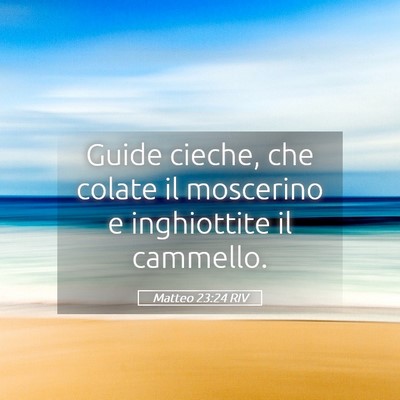Picture 05 - Matteo 23:24 RIV - Guide cieche, che colate il moscerino e - Bible Verse Picture