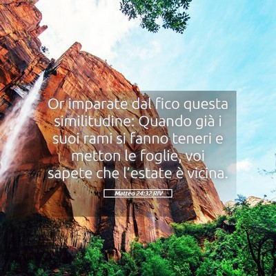 Picture 05 - Matteo 24:32 RIV - Or imparate dal fico questa similitudine: Quando - Bible Verse Picture