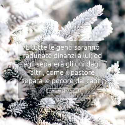 Picture 05 - Matteo 25:32 RIV - E tutte le genti saranno radunate dinanzi a lui; - Bible Verse Picture