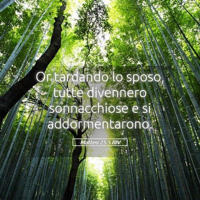 Picture 05 - Matteo 25:5 RIV - Or tardando lo sposo, tutte divennero - Bible Verse Picture