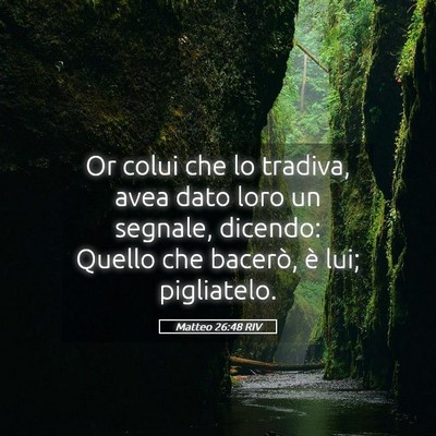 Picture 05 - Matteo 26:48 RIV - Or colui che lo tradiva, avea dato loro un - Bible Verse Picture