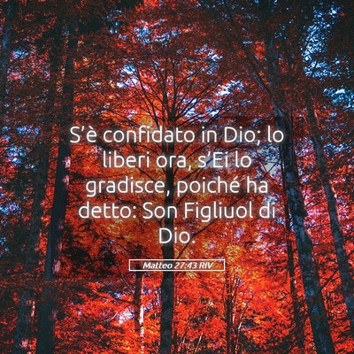 Picture 05 - Matteo 27:43 RIV - S’è confidato in Dio; lo liberi ora, s’Ei lo - Bible Verse Picture
