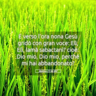 Picture 05 - Matteo 27:46 RIV - E verso l’ora nona Gesù gridò con gran voce: - Bible Verse Picture