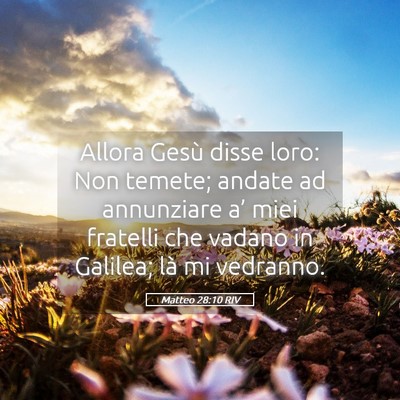 Picture 05 - Matteo 28:10 RIV - Allora Gesù disse loro: Non temete; andate ad - Bible Verse Picture