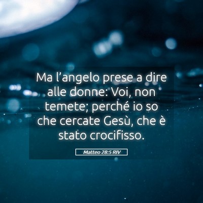Picture 05 - Matteo 28:5 RIV - Ma l’angelo prese a dire alle donne: Voi, non - Bible Verse Picture