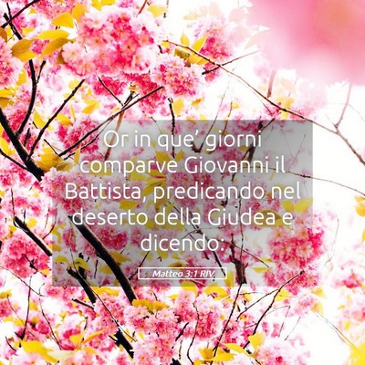 Picture 05 - Matteo 3:1 RIV - Or in que’ giorni comparve Giovanni il - Bible Verse Picture