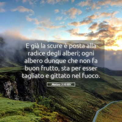 Picture 05 - Matteo 3:10 RIV - E già la scure è posta alla radice degli - Bible Verse Picture
