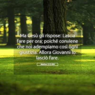 Picture 05 - Matteo 3:15 RIV - Ma Gesù gli rispose: Lascia fare per ora; - Bible Verse Picture