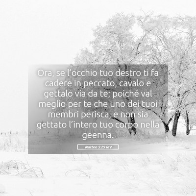 Picture 05 - Matteo 5:29 RIV - Ora, se l’occhio tuo destro ti fa cadere in - Bible Verse Picture