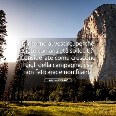 Picture 05 - Matteo 6:28 RIV - E intorno al vestire, perché siete con ansietà - Bible Verse Picture