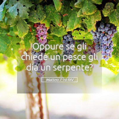 Picture 05 - Matteo 7:10 RIV - Oppure se gli chiede un pesce gli dia un - Bible Verse Picture