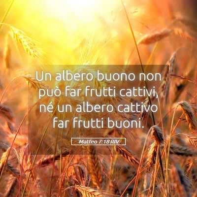 Picture 05 - Matteo 7:18 RIV - Un albero buono non può far frutti cattivi, né - Bible Verse Picture
