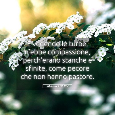 Picture 05 - Matteo 9:36 RIV - E vedendo le turbe, n’ebbe compassione, - Bible Verse Picture