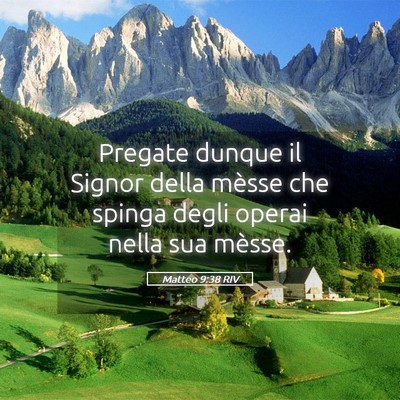 Picture 05 - Matteo 9:38 RIV - Pregate dunque il Signor della mèsse che spinga - Bible Verse Picture