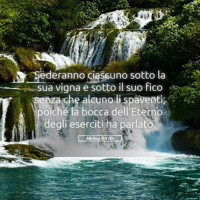 Picture 05 - Michea 4:4 RIV - Sederanno ciascuno sotto la sua vigna e sotto il - Bible Verse Picture