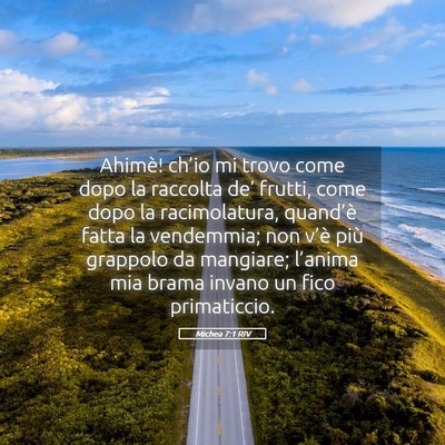 Picture 05 - Michea 7:1 RIV - Ahimè! ch’io mi trovo come dopo la raccolta - Bible Verse Picture