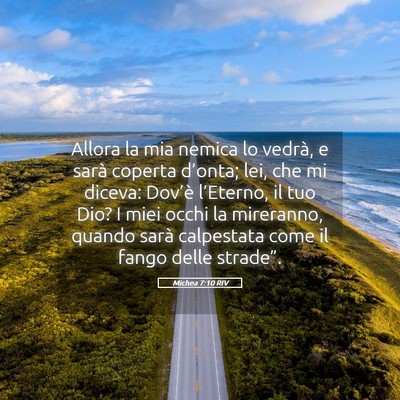 Picture 05 - Michea 7:10 RIV - Allora la mia nemica lo vedrà, e sarà coperta - Bible Verse Picture