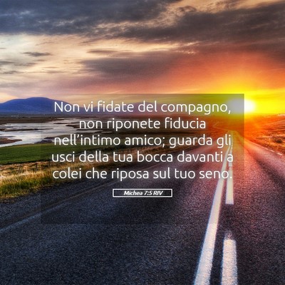 Picture 05 - Michea 7:5 RIV - Non vi fidate del compagno, non riponete fiducia - Bible Verse Picture